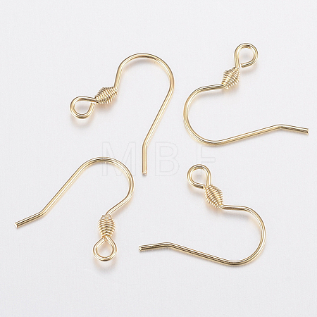 304 Stainless Steel Earring Hooks STAS-G179-45G-1