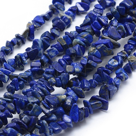 Natural Lapis Lazuli Beads Strands G-P332-50-1