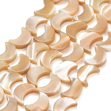 Natural Trochid Shell/Trochus Shell Beads Strands SH-CBA93AD-01-1