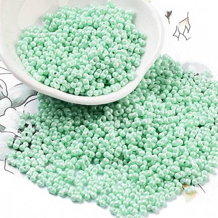 Opaque Colours Glass Seed Beads SEED-A033-06K-1