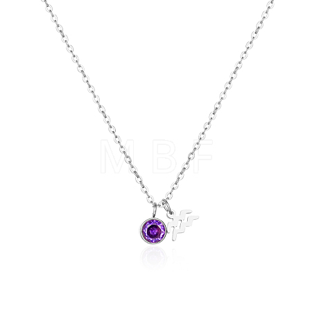 Stainless Steel Pace Purple Cubic Zirconia Birthstone Zodiac Aquarius Pendant Necklaces for Women ZA6688-4-1