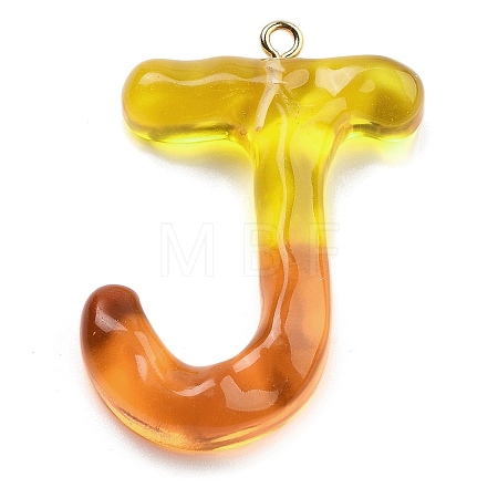 Resin Pendant FIND-Q107-01J-01-1