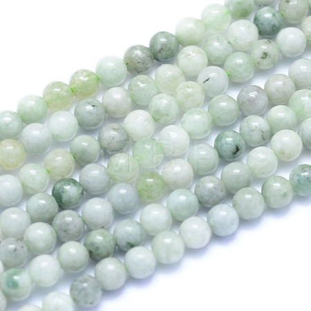 Natural Myanmar Jade/Burmese Jade Beads Strands G-I279-C02-4mm-1