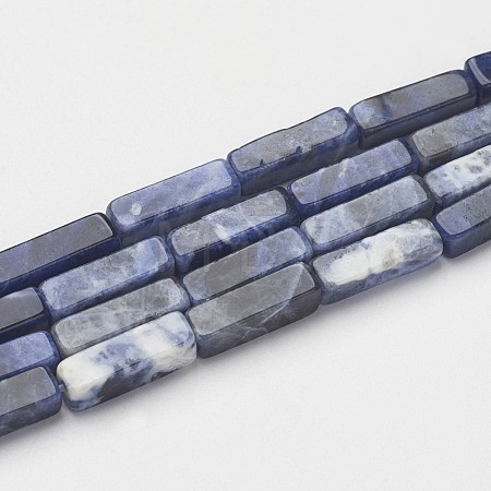 Natural Sodalite Beads Strands X-G-G968-D02-1