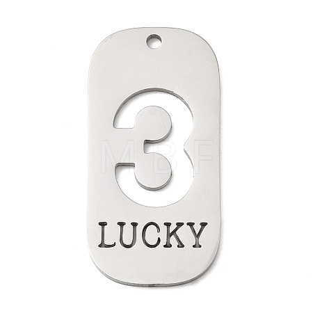 304 Stainless Steel Pendants STAS-D200-02D-P-1