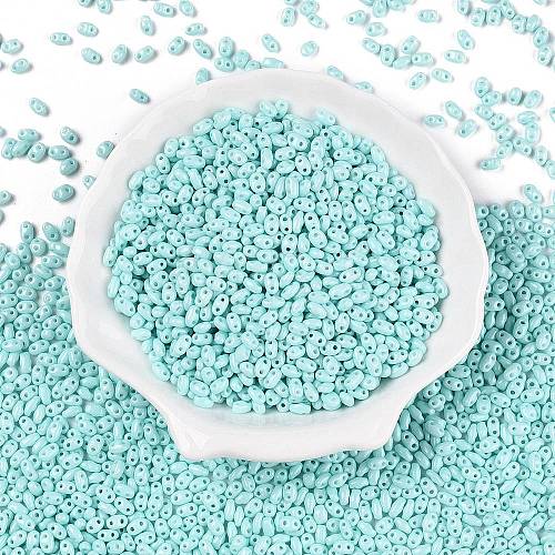 Baking Paint Glass Seed Beads SEED-T006-03G-1