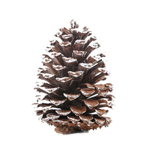 Wood Artificial Pine Cone HULI-PW0002-034A-1