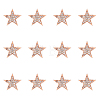 SUPERFINDINGS 12Pcs Star Brooch Pin JEWB-FH0001-43-1