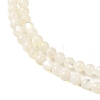 Natural White Shell Beads Strands SHEL-M021-03B-3