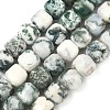 Natural Tree Agate Beads Strands G-C267-A18-2