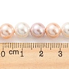 Electroplated Shell Pearl Beads Strands SHEL-F008-03B-06-4