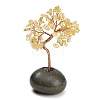 Heated Natural Citrine Chips Tree of Life Display Decorations GG-CBACC2B-01A-2
