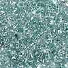 Baking Paint Glass Seed Beads SEED-K009-03B-15-3