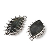 Natural Labradorite Big Pendants GG-CBA86DE-02P-2