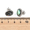 Paua Shell & Brass Stud Earrings for Women EJEW-JE07472-02-5