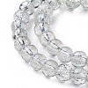 Crackle Glass Beads Strands GLAA-F098-02B-24-3