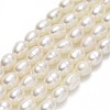Natural Cultured Freshwater Pearl Beads Strands PEAR-J006-14C-01-1