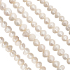 1 Strand Natural Cultured Freshwater Pearl Beads Strands PEAR-CA0001-15C-2