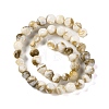 Natural Freshwater Shell Beads Strands BSHE-S304-03-2