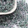 Glass Seed Beads X1-SEED-A032-01I-1
