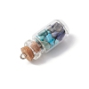 5Pcs 5 Styles Clear Glass Wishing Bottle with Mixed Gemstone Chip Inside Pendants PALLOY-JF04164-5