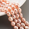 Natural Cultured Freshwater Pearl Beads Strands PEAR-P062-28G-2