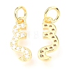 Brass Micro Pave Cubic Zirconia Charms ZIRC-O037-20G-2