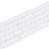 Frosted Opaque Glass Beads Strands GLAA-T032-P4mm-MBB02-2