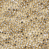 Glass Seed Beads X1-SEED-S042-04A-05-3