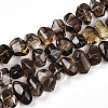 Natural Smoky Quartz Beads Strands G-B072-C01-03-01-1