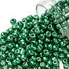 6/0 Glass Seed Beads X-SEED-A017-4mm-1114-1