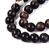 Natural Biotite Beads Strands G-Q616-01C-4