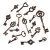 Tibetan Style Alloy Pendants FIND-D040-01R-1