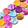 Natural Freshwater Shell Beads Strands SHEL-Q024-005-1
