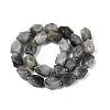 Natural Labradorite Beads Strands G-Q608-11E-3