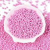 Glass Seed Beads SEED-T007-01F-1