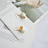 Resin & Alloy Dangle Earrings WG1C298-02-1