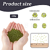 100G Glass Seed Beads SEED-SP0001-11C-2