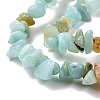 Natural Amazonite Chips Beads Strands G-M205-12A-4