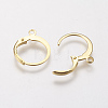 304 Stainless Steel Leverback Earring Findings STAS-F141-02G-2