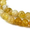 Natural Yellow Opal Beads Strands G-L597-C05-05-3