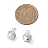 Natural Pearl Ear Studs EJEW-P286-29P-3