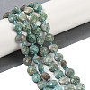 Natural Amazonite Beads Strands G-B094-A18-01-1