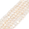 Natural Cultured Freshwater Pearl Beads Strands PEAR-P064-19D-05A-2