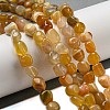 Natural Botswana Agate Beads Strands G-D081-A10-02-2