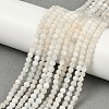 Natural White Moonstone Beads Strands G-D294-4mm-02-5