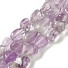 Natural Amethyst Beads Strands G-B078-D21-01-1