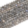 Natural Labradorite Beads Strands G-L654-O02-8mm-2