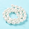 Electroplated Shell Pearl Beads Strands BSHE-G035-01B-05-3