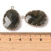 Natural Labradorite Faceted Pendants G-Q169-01G-03-3